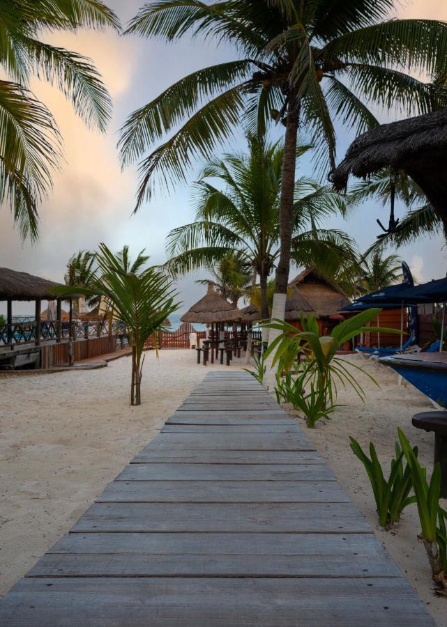 The Diving Lodge Downtown Puerto Morelos Exteriér fotografie