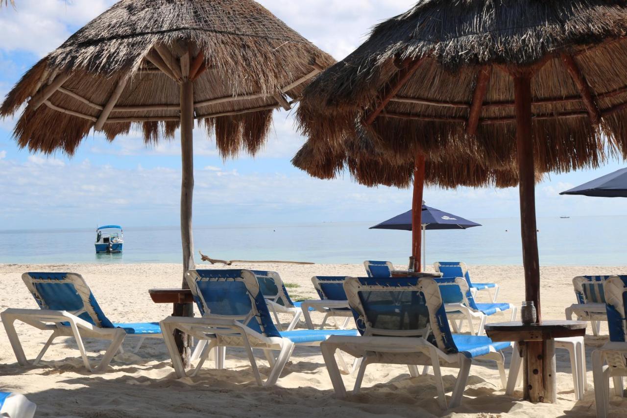 The Diving Lodge Downtown Puerto Morelos Exteriér fotografie