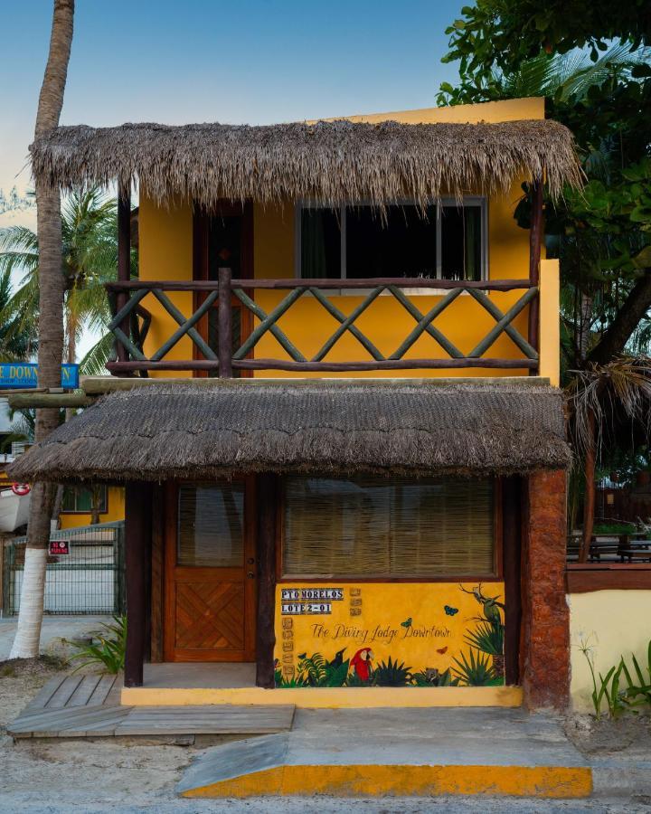 The Diving Lodge Downtown Puerto Morelos Exteriér fotografie
