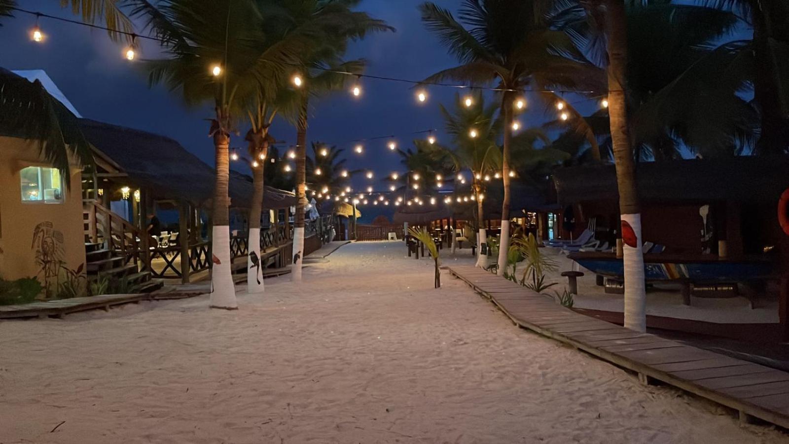 The Diving Lodge Downtown Puerto Morelos Exteriér fotografie